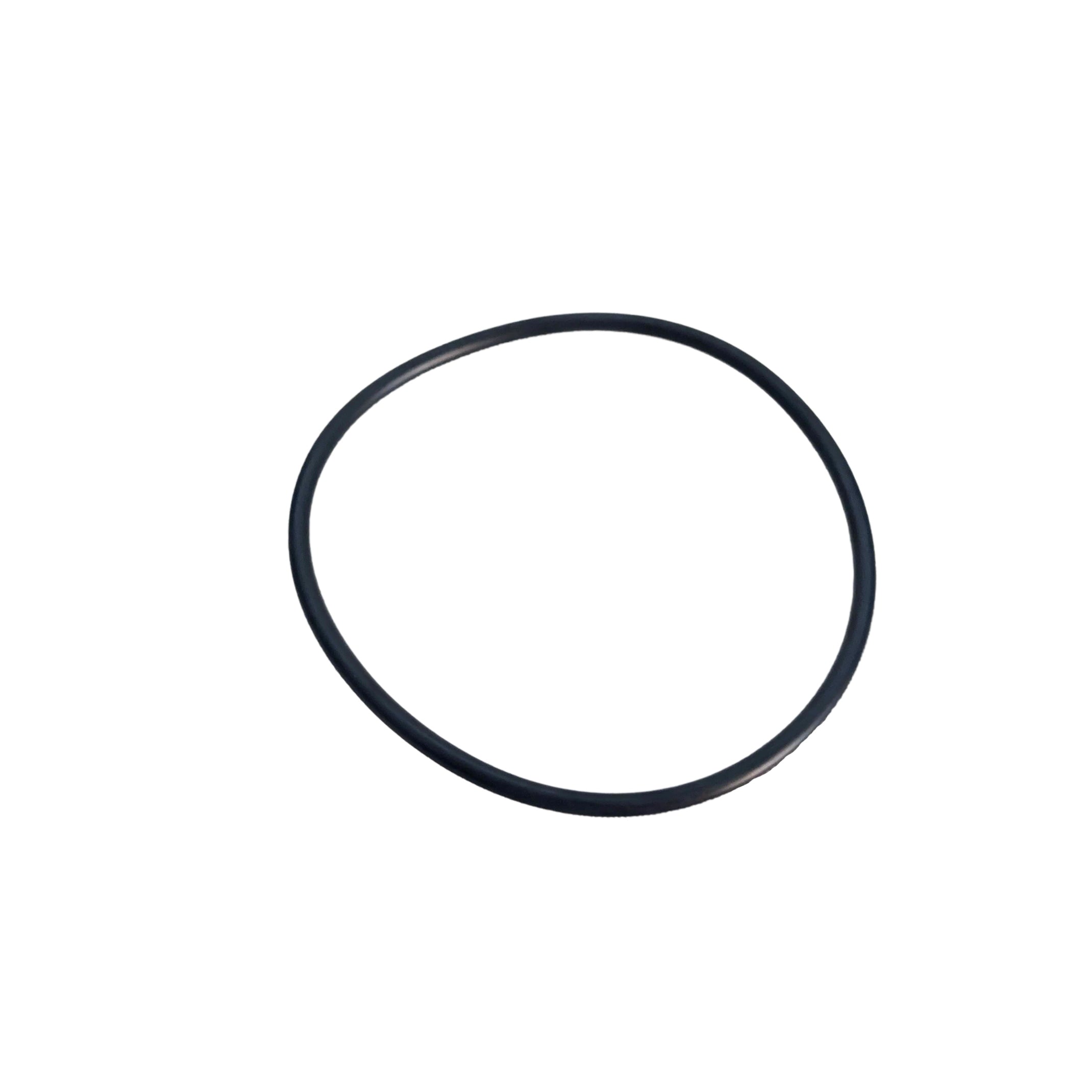 Part 73300SORING Small Internal O-Ring for 73150 & 73300 Variable Speed Pumps