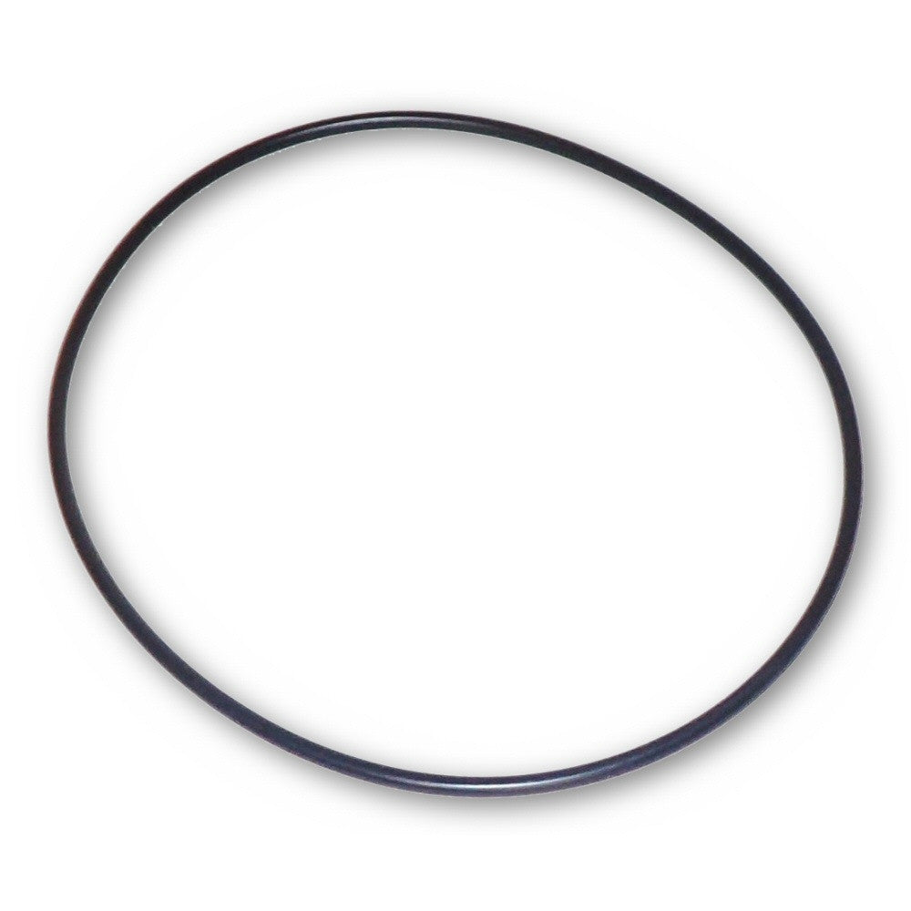 Model 71428 Replacement Internal O-Ring for Model 71406 and 71406T Pumps with Debris Traps